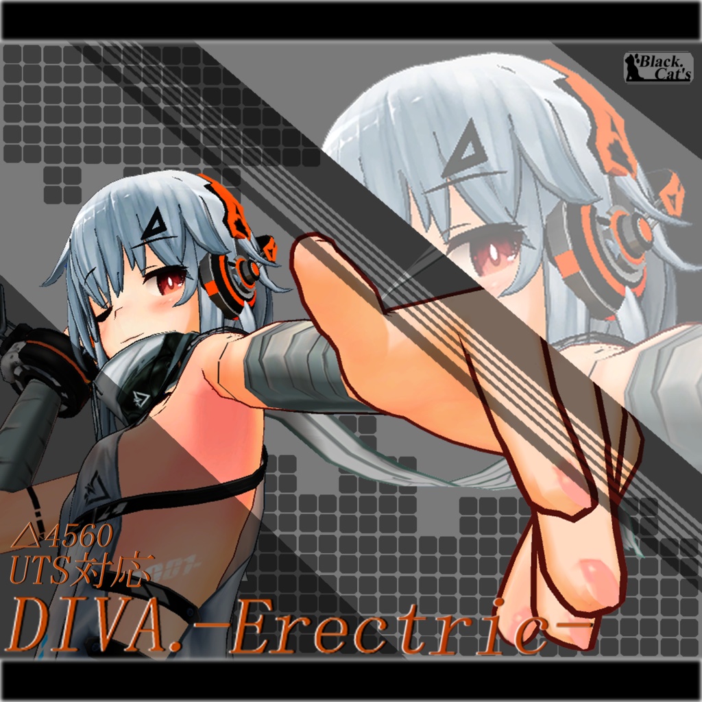 DIVA.-Erectric- image