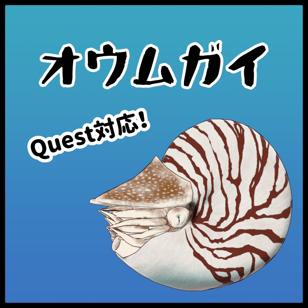[VRchat想定]オウムガイ -nautilus- image