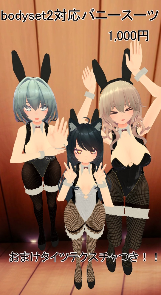 bodyset2共通素体対応バニースーツ image