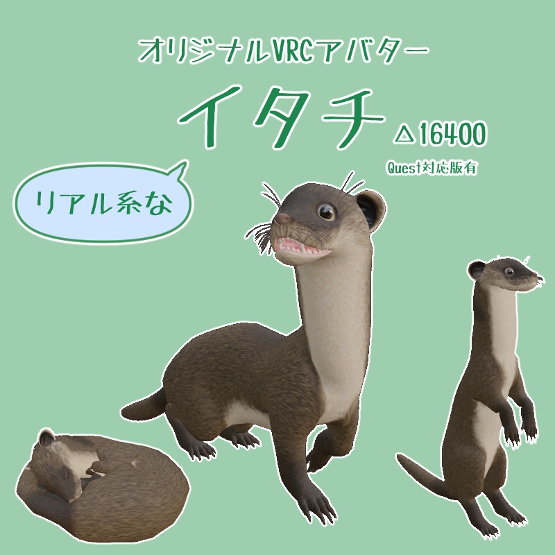 リアルチックなイタチ【VRCアバター/Quest版有】【ver1.02】 image