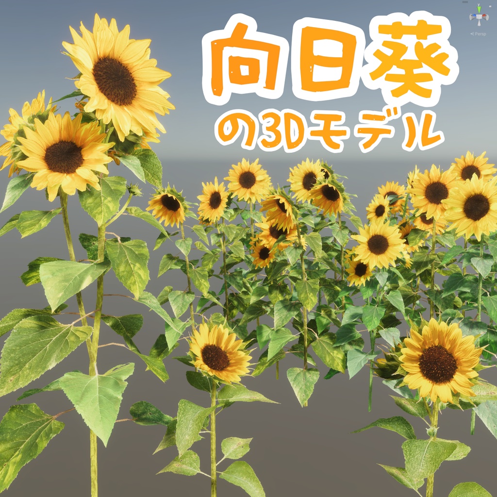 ひまわりの３Dモデル image