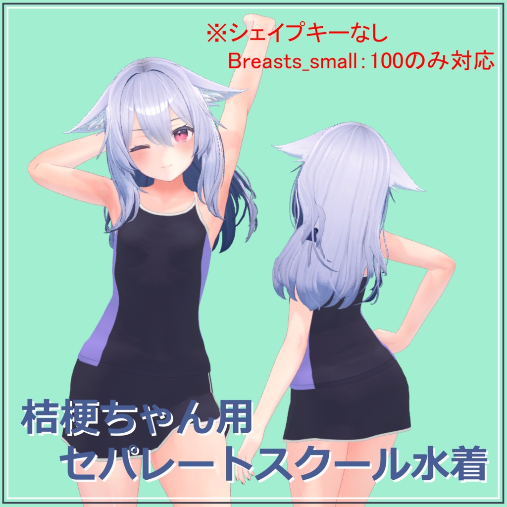 [桔梗用]セパレートスクール水着 image