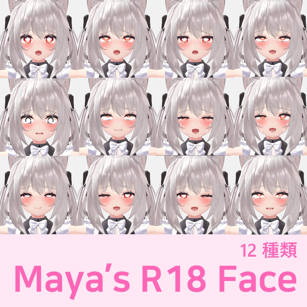 Maya's R18 Face Animation 12種類 image