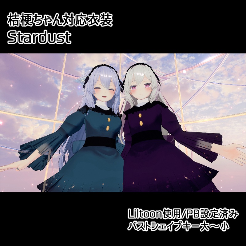 桔梗対応衣装【StarDust】 image