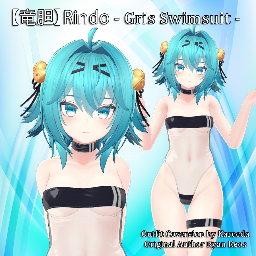 Rindo Gris Swimsuit image