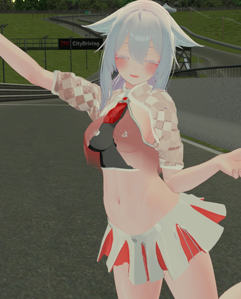 【桔梗用】チアクイーン image