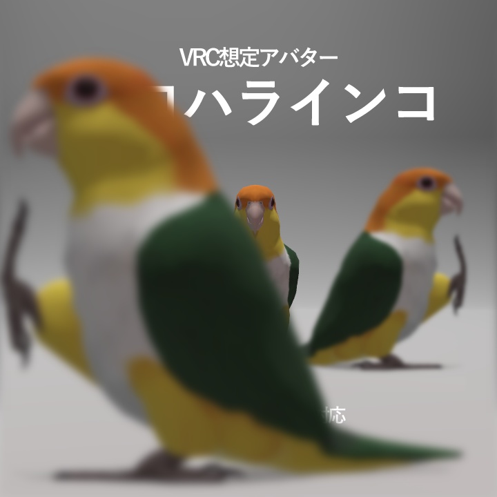 シロハラインコ アバター image