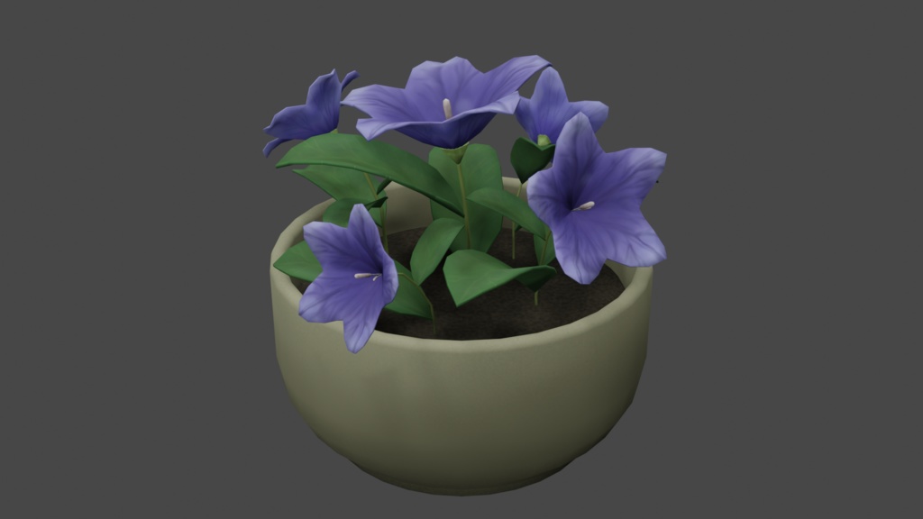 桔梗(キキョウ)の花 image