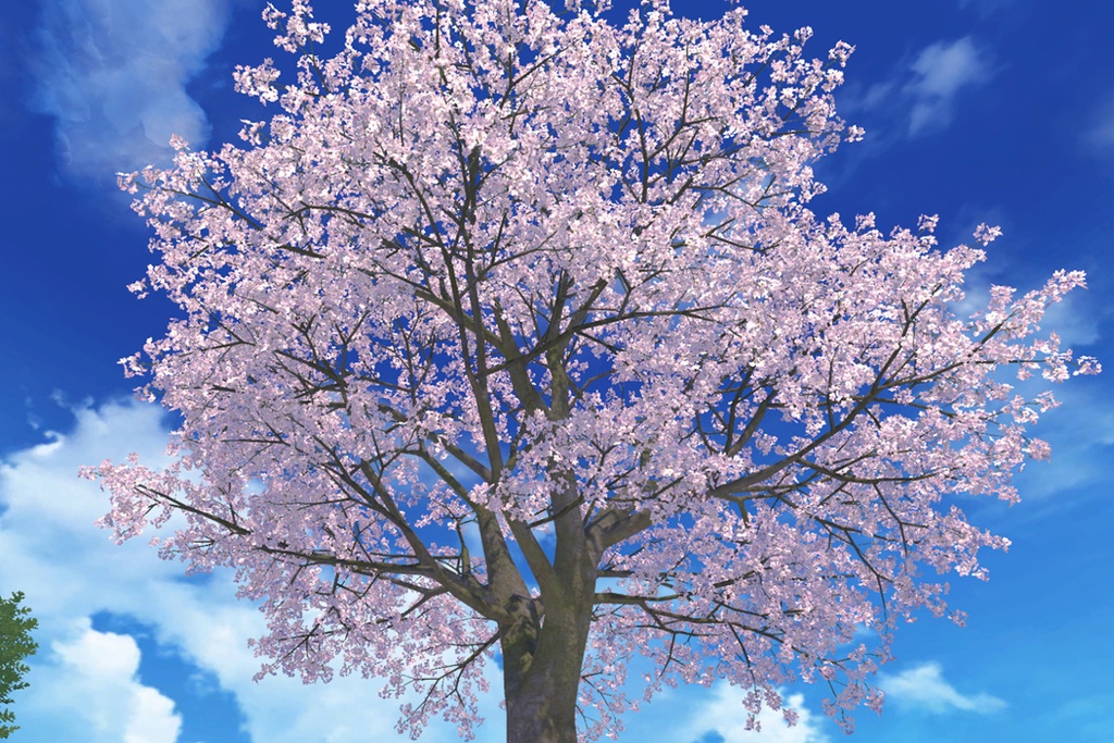 【ワールド パーツ販売】桜Garden image