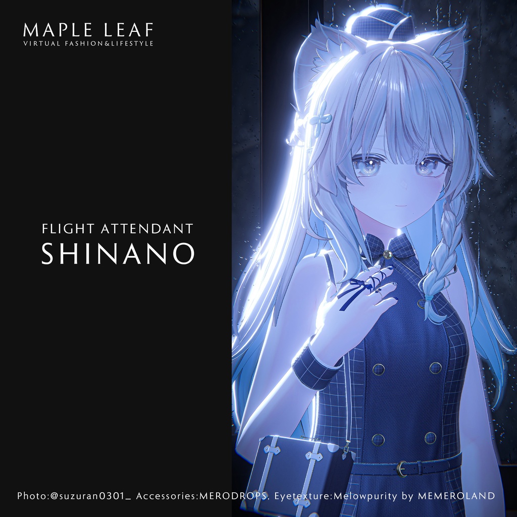 Flight Attendant Dress image