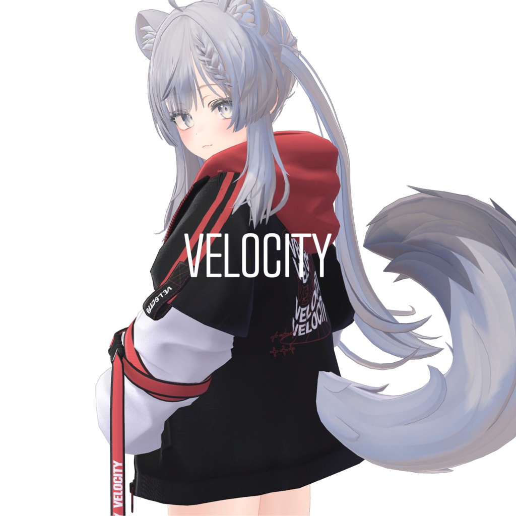 VELOCITY image