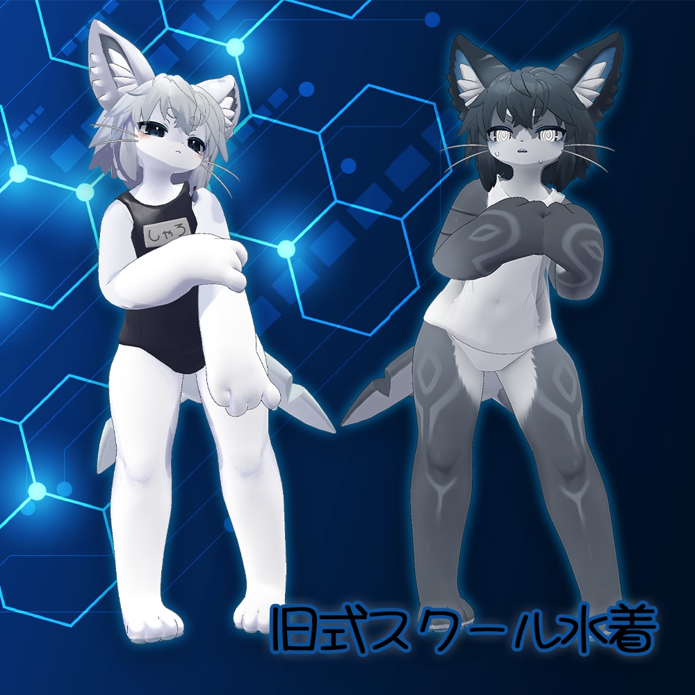 School swimsuit [old style] [for Sharo-kun] image