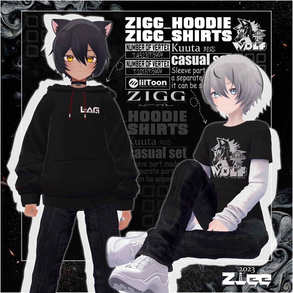 Zigg Hoodie / Zigg Shirts image