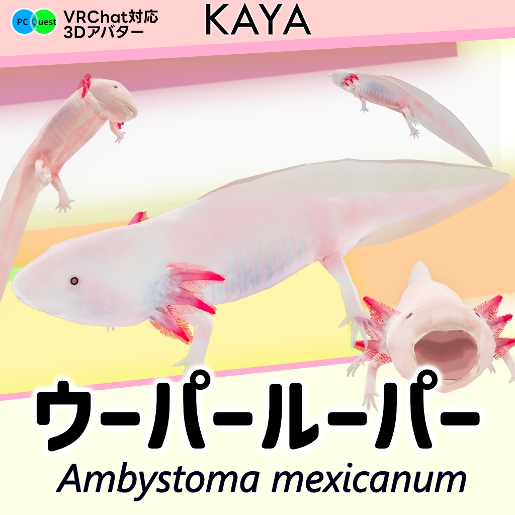 【無料】【3Dモデル】ウーパールーパー【VRChat・cluster対応】 image