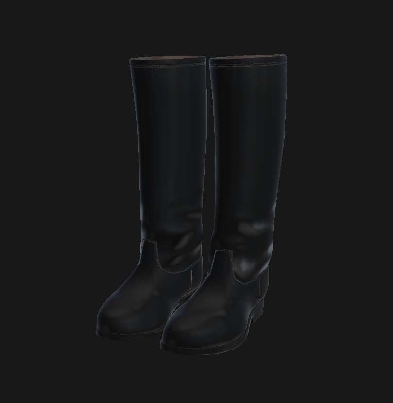 Long Boots image