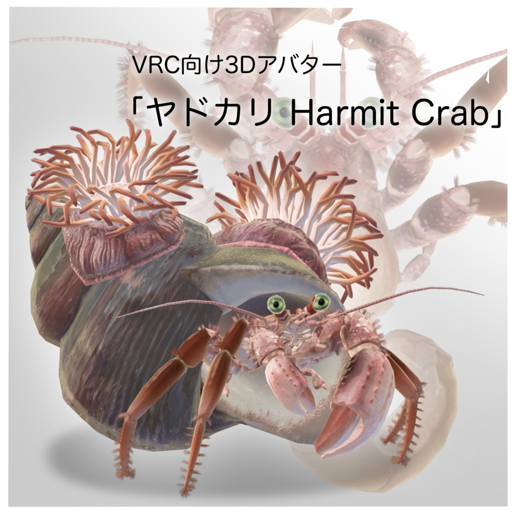 VRC向け３Dアバター「ヤドカリ　Harmit Crab」 image