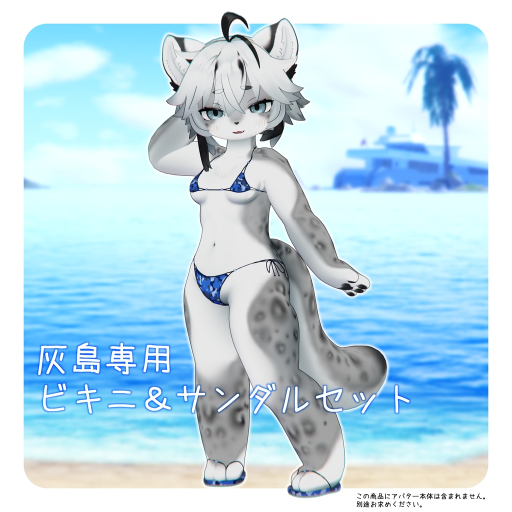 Bikini & Sandals Set image