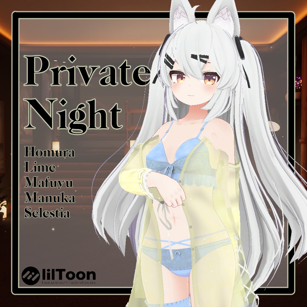 Private Night image