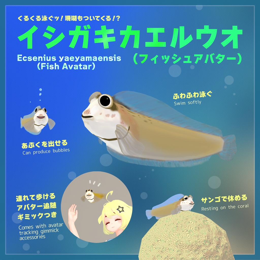 「イシガキカエルウオ」フィッシュアバター＆追随ギミックセット image