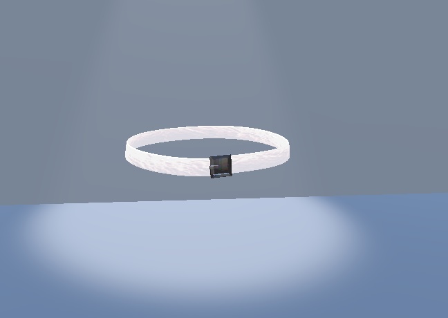 [FREE] simple belt image