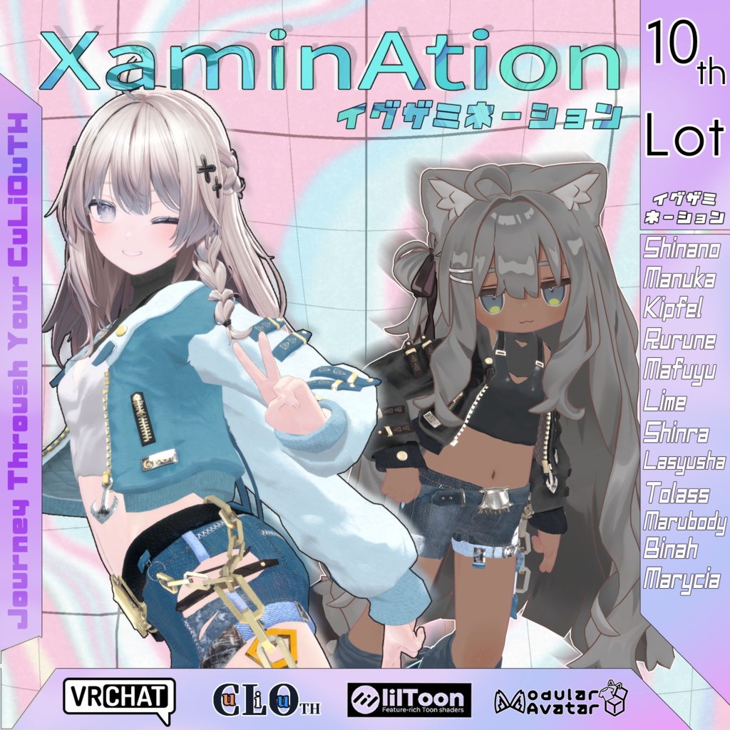 10th Lot. XaminAtion image