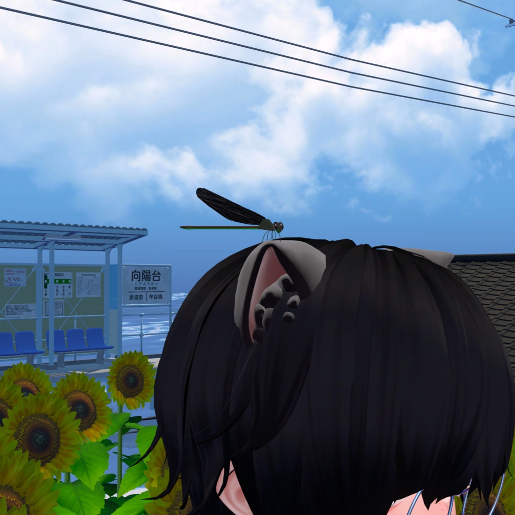 Haguro Dragonfly image