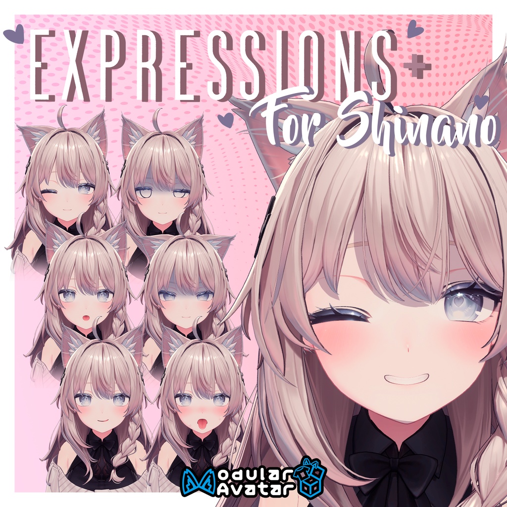 【しなの用】Expressions + for Shinano 1.0.4 (MA) image