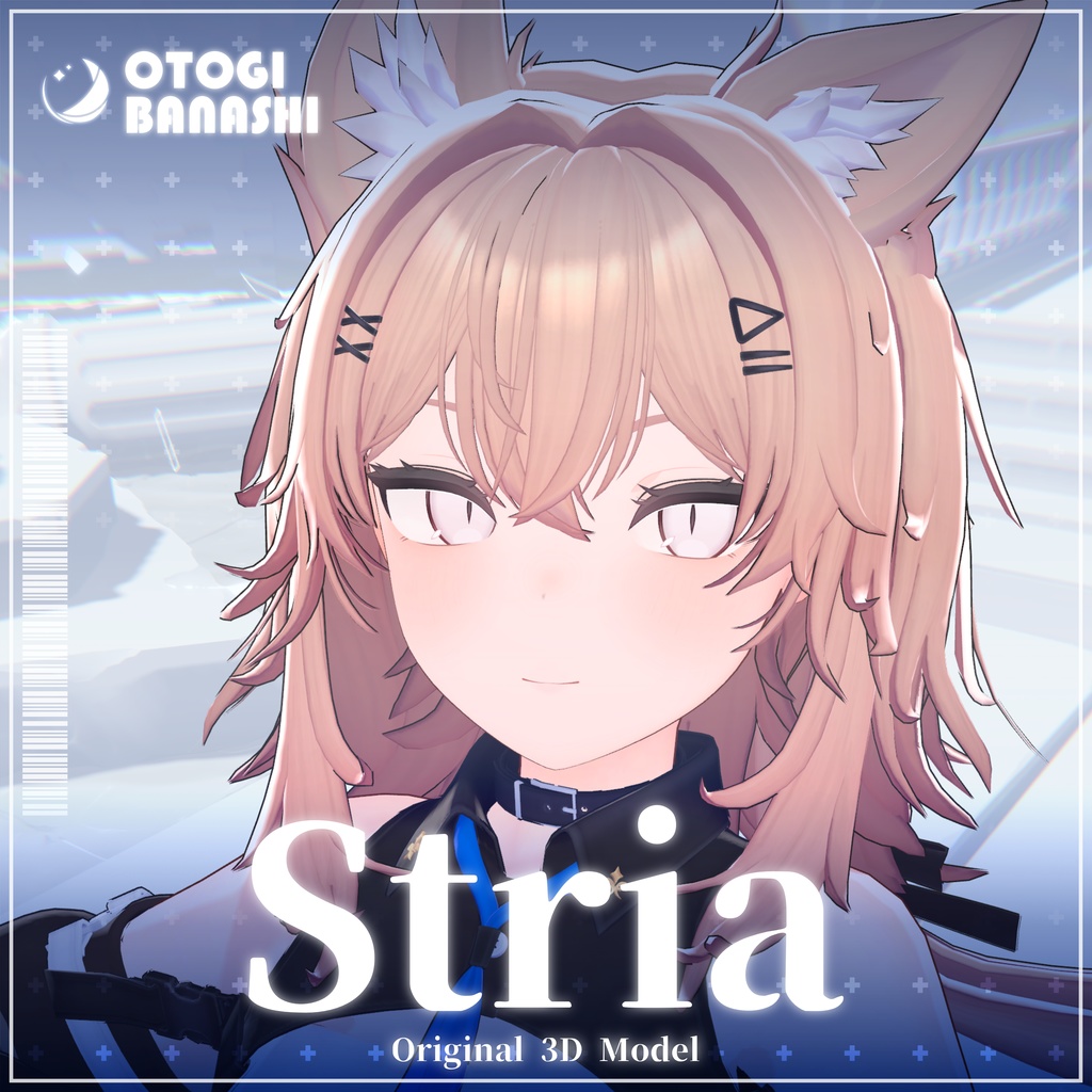 Stria image