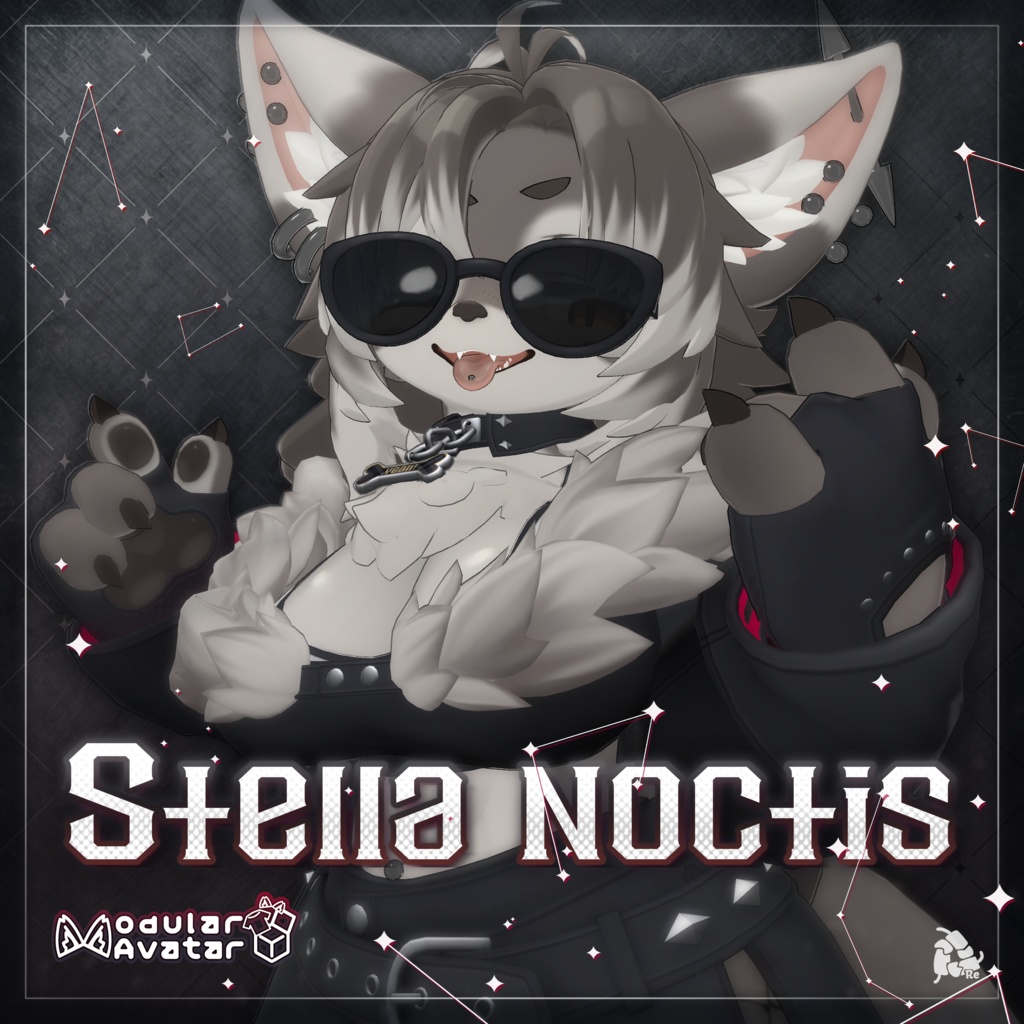 【 Zil S 対応 】- Stella Noctis - image