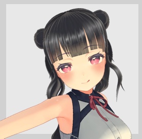 Twintail Hairstyle image