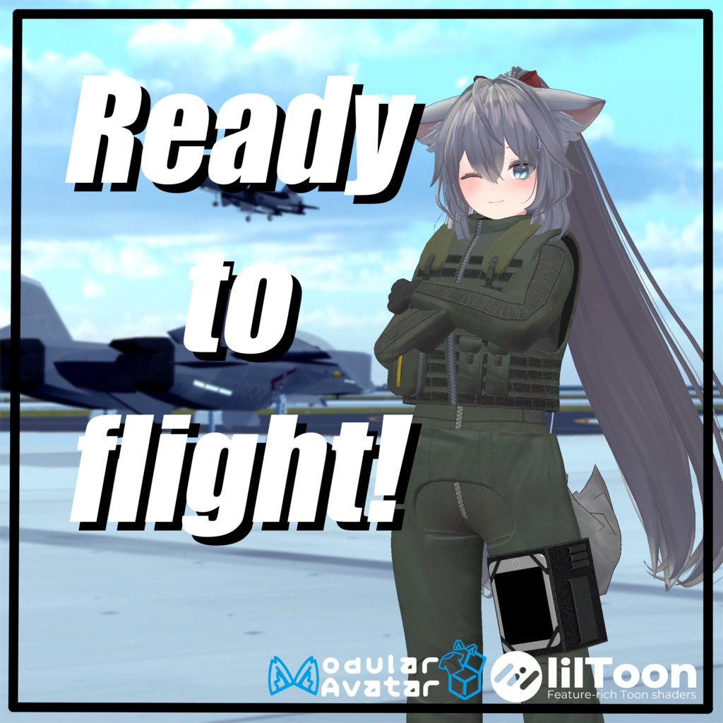 Ready for Flight image