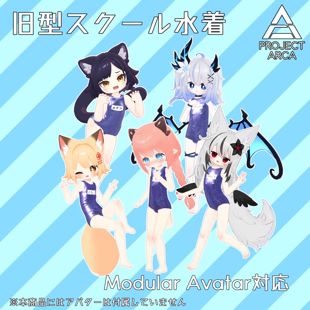 Vintage School Swimsuit image