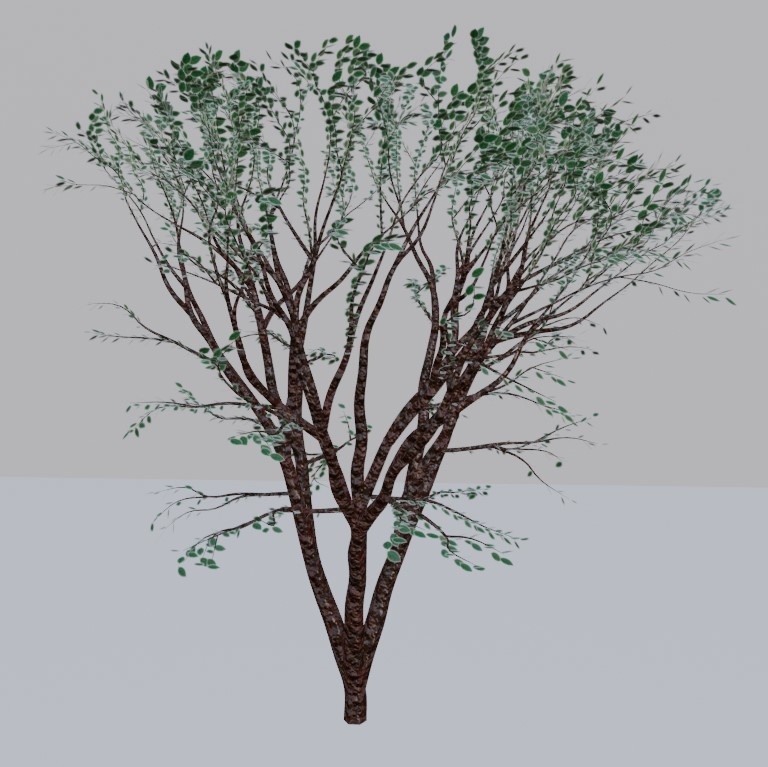 【無料】樹木（blend,fbx） image