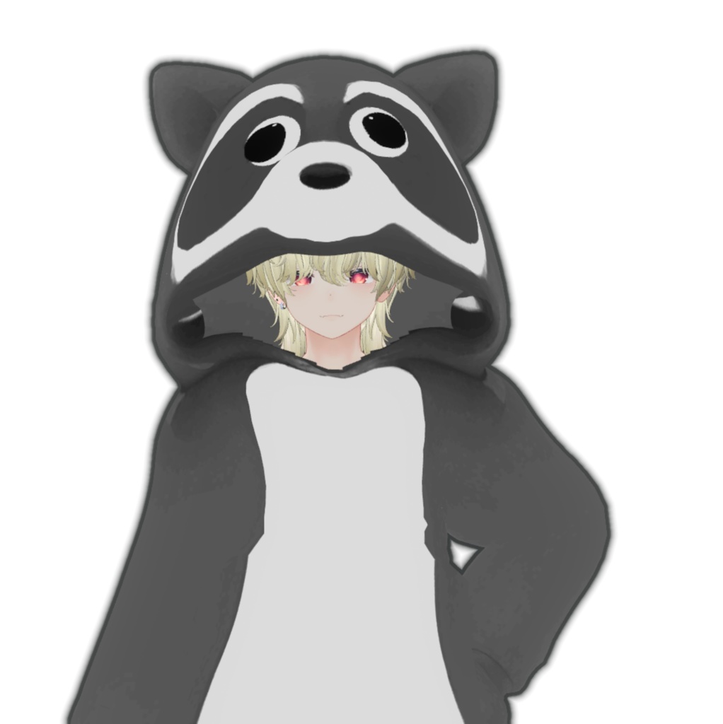 Fluffy Raccoon Costume image