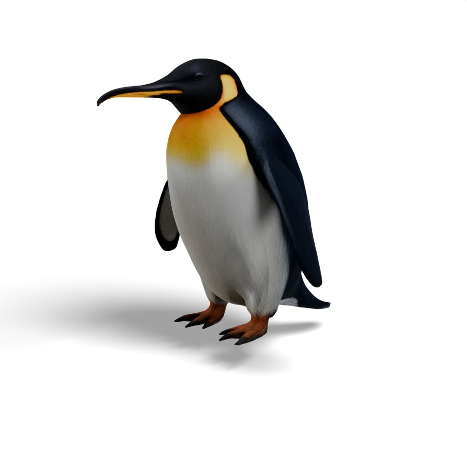 ペンギン（3Dモデル） image