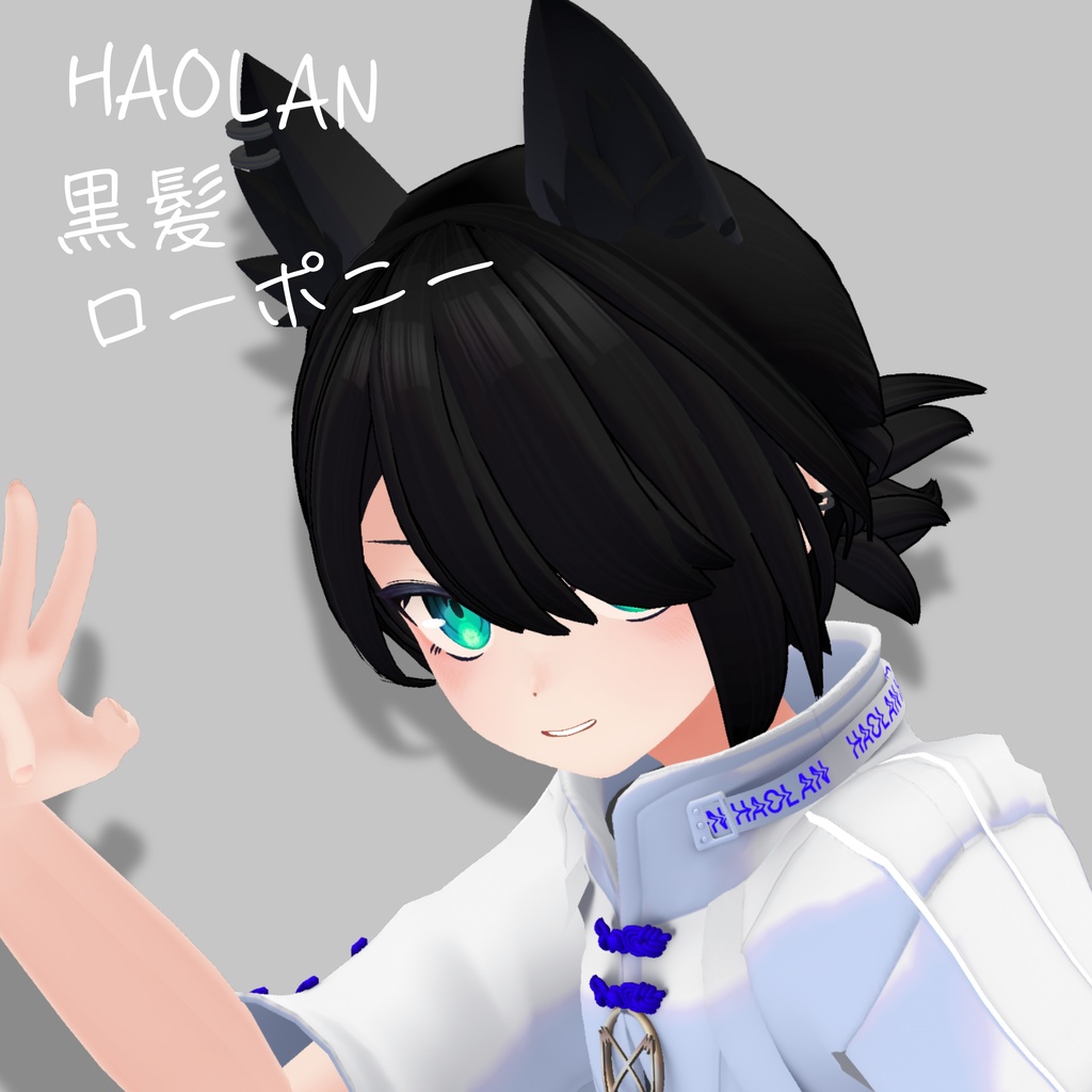 【ハオラン対応】黒髪ローポニー image