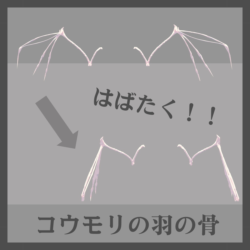 Bat Wing Bone image