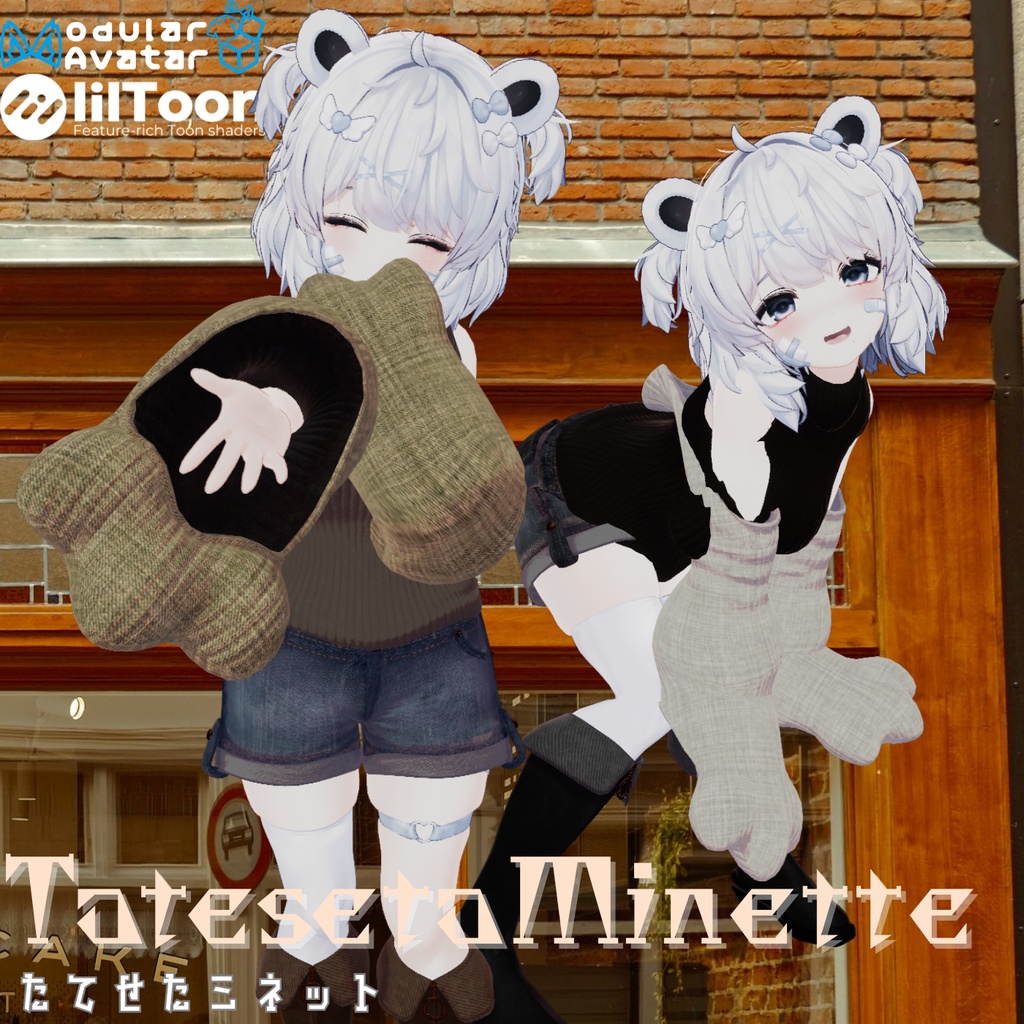 Additional Support  Minette image