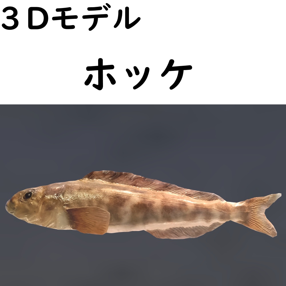 ホッケ【VRChat想定】 image