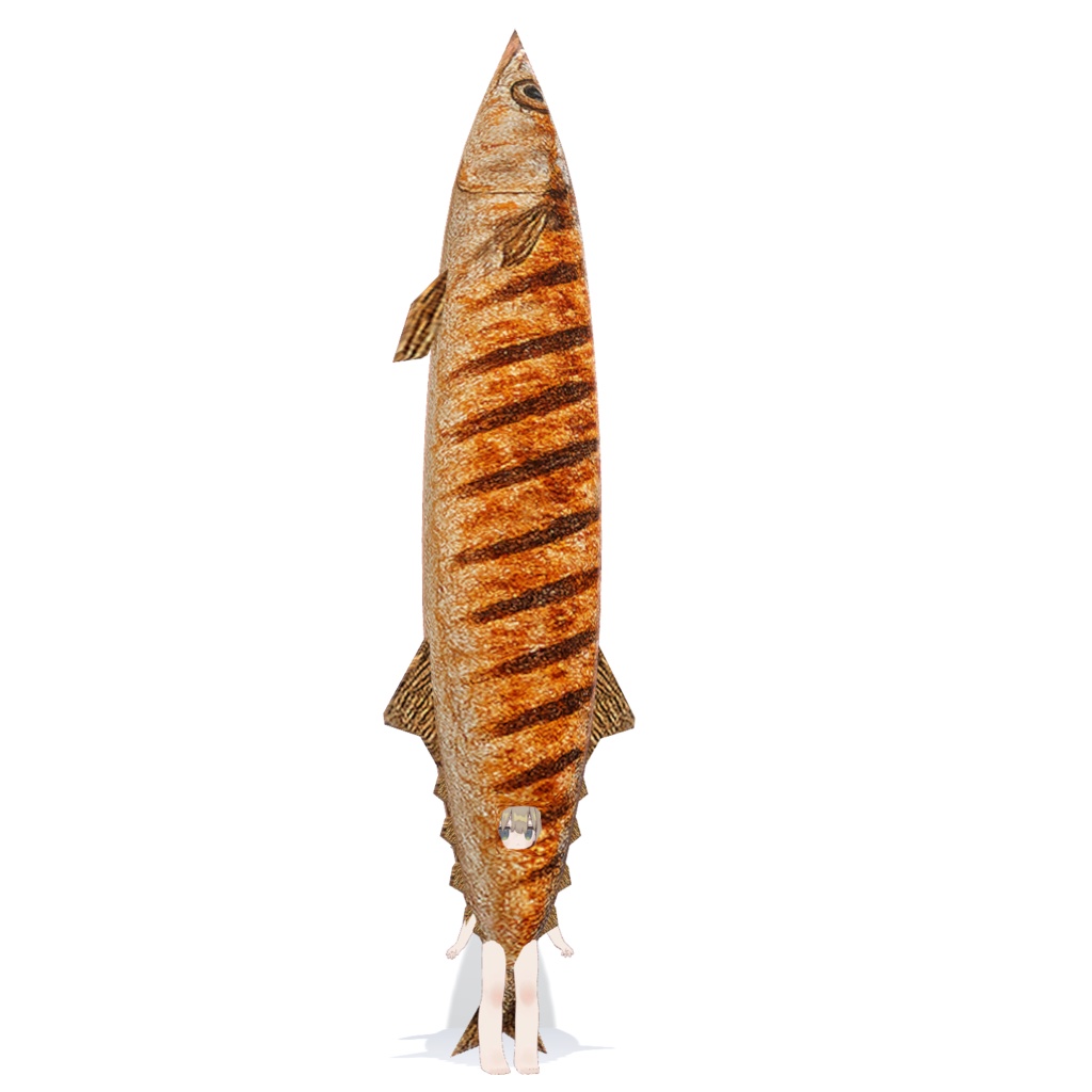 Pacific Saury Costume image