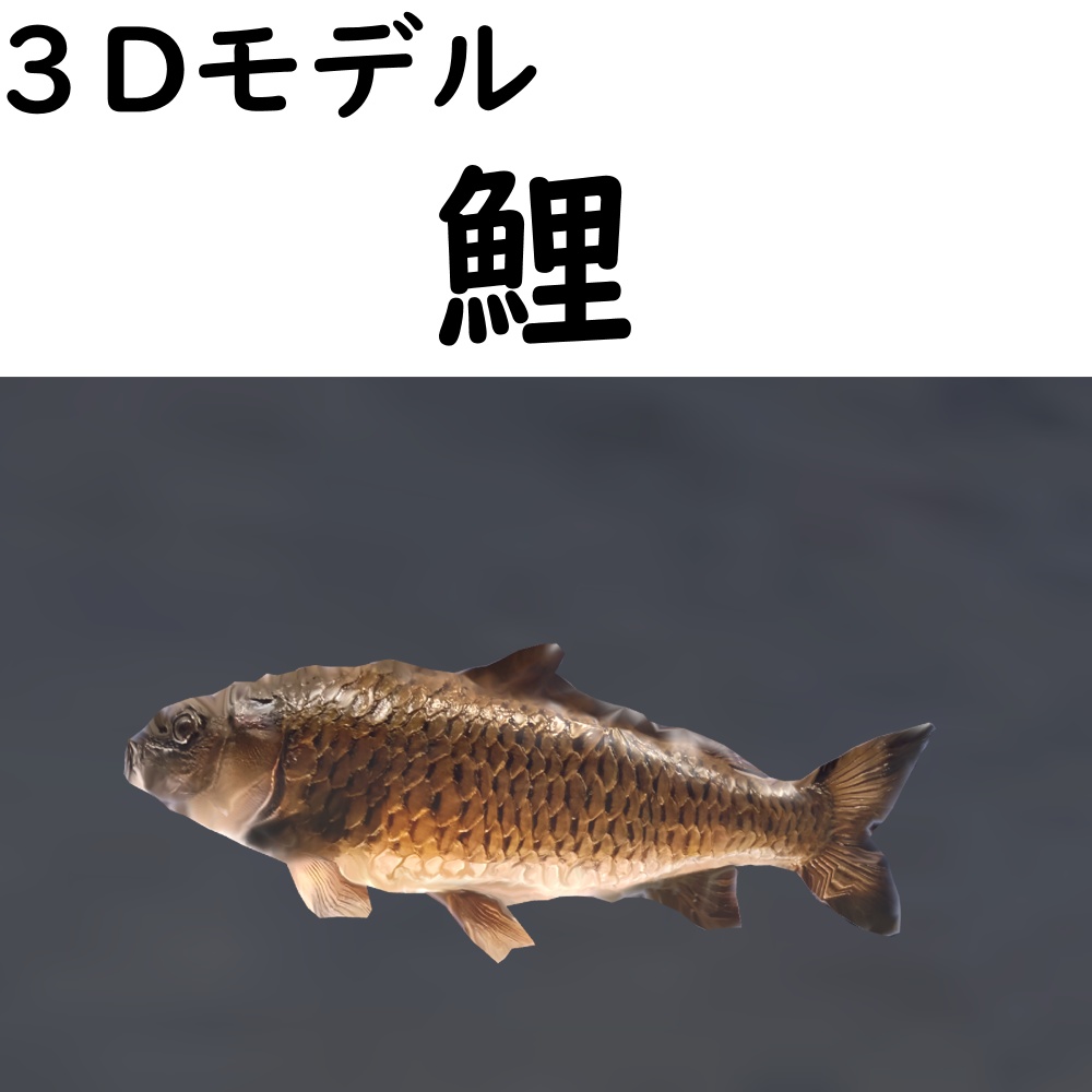 鯉【VRChat想定】 image