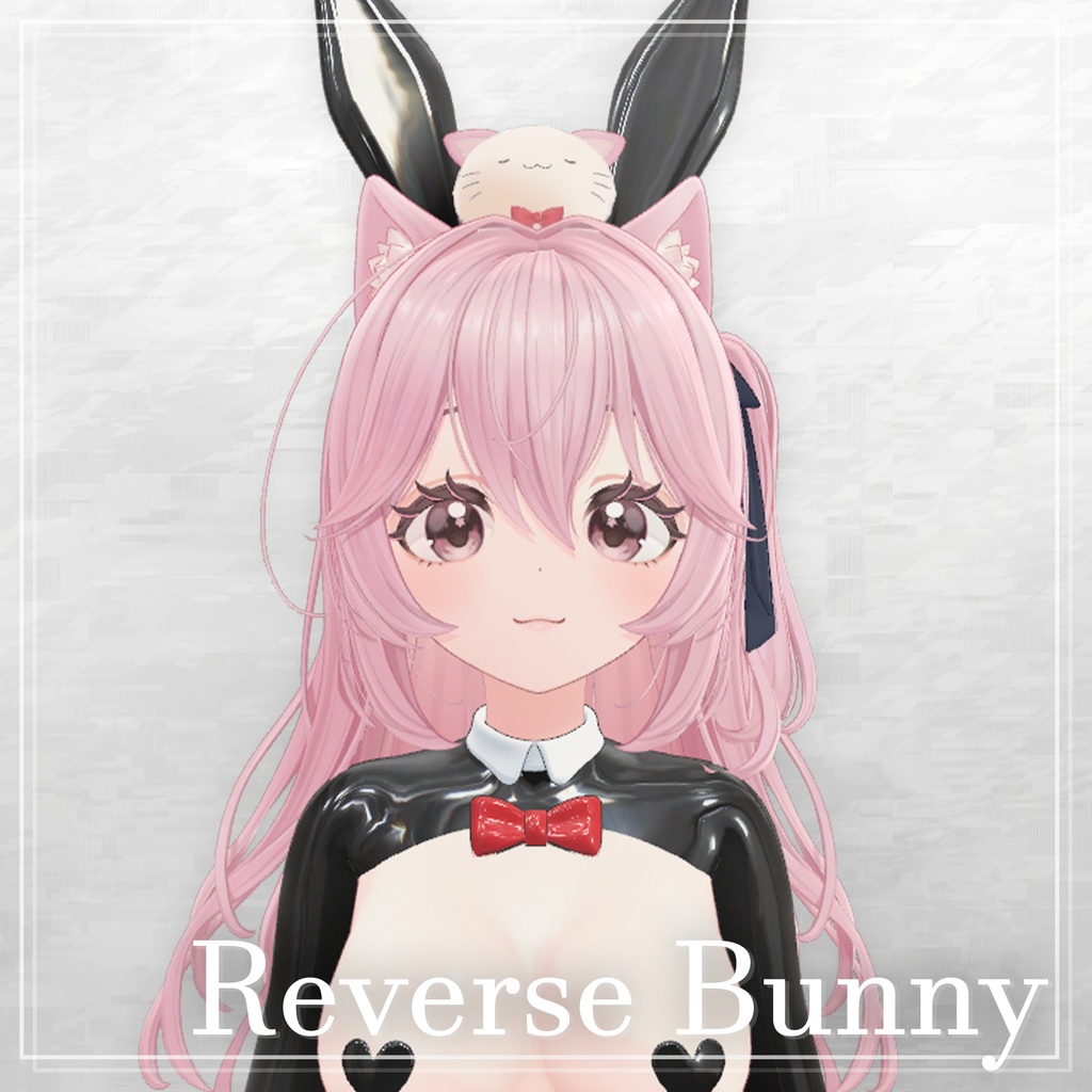 Reverse Bunny Suit image