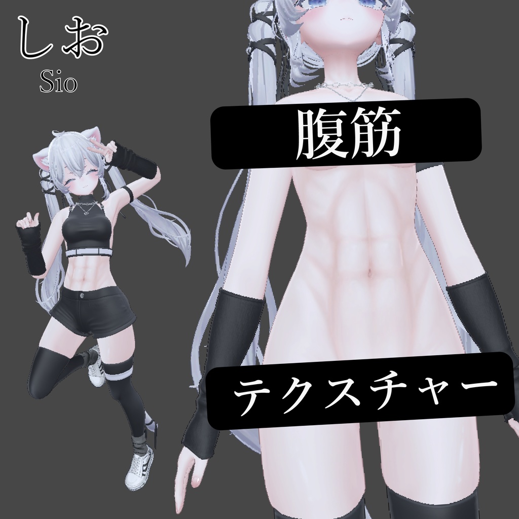 Sio / shio Abdominal muscle texture image