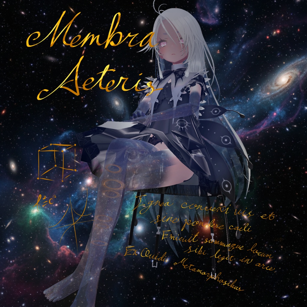 Membra Aetheris [For Zome-chan's exclusive use] image