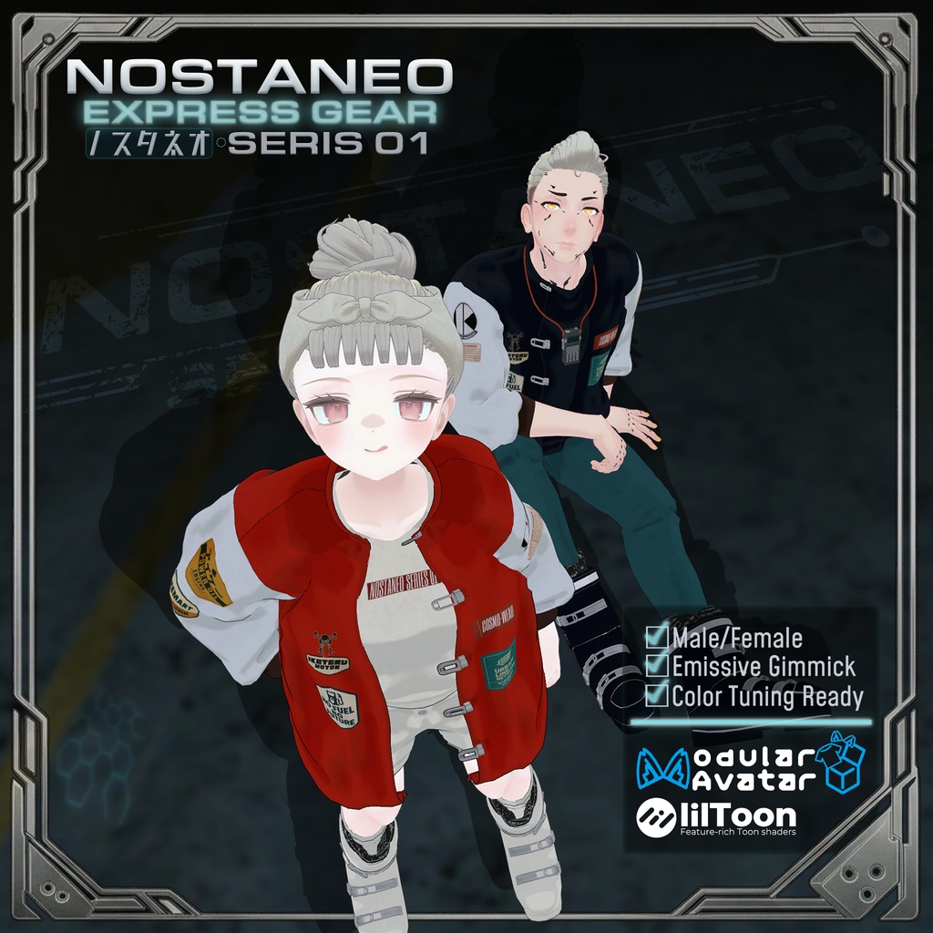 NOSTANEO EXPRESS GEAR image