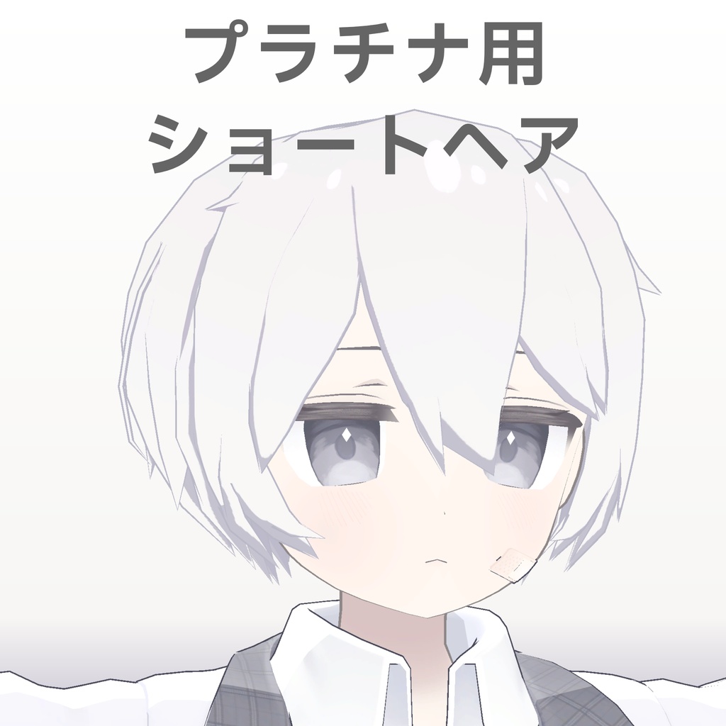 プラチナ用ショートヘア image
