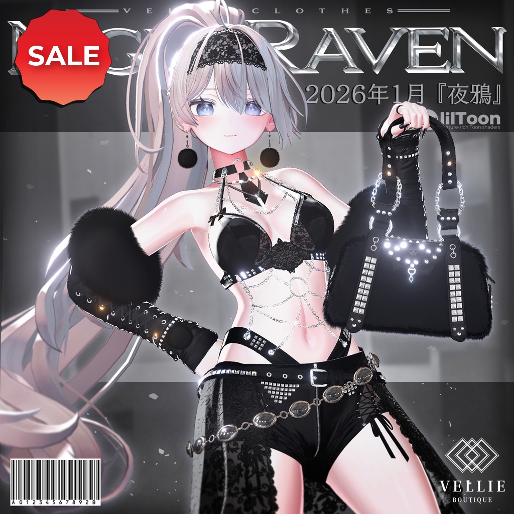 Night Raven - Noir image