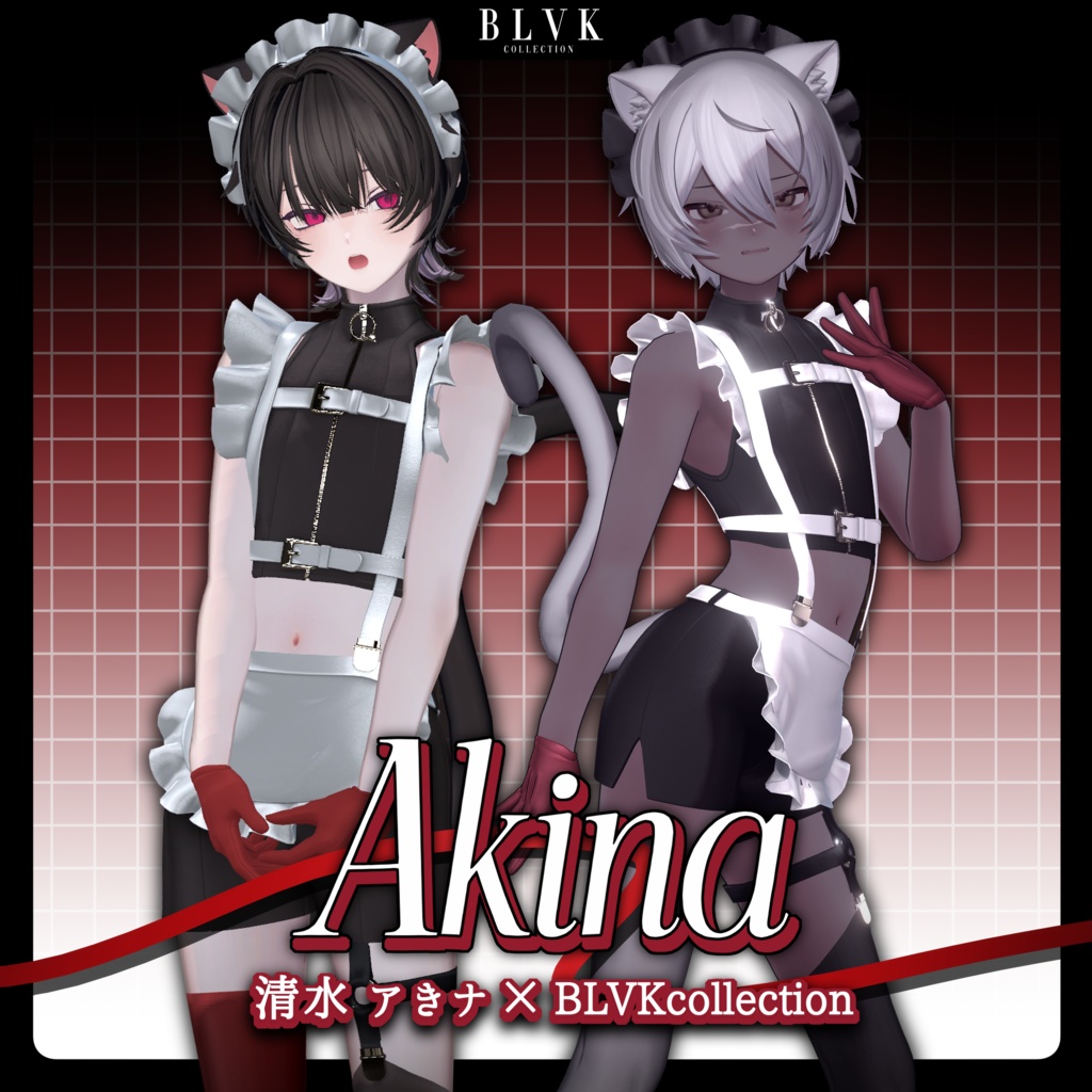 [Shimizu Akina  BLVK] "Akina" Original 3D Costume image
