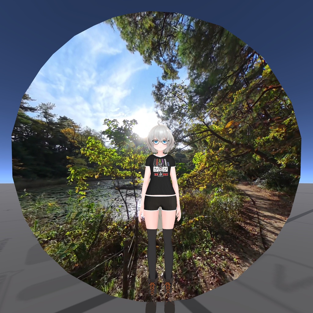 Wide-angle Skybox Shader image
