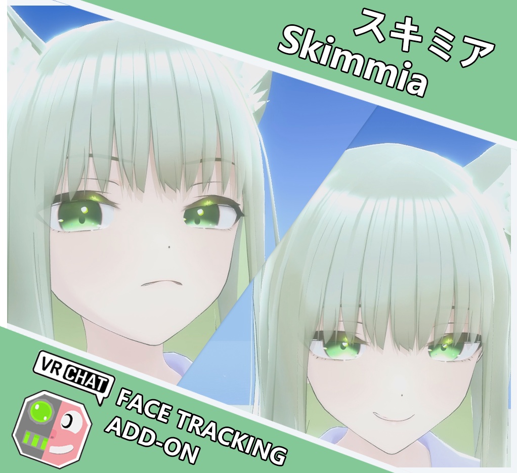 Skimmia - Face Tracking Add-on image